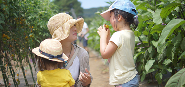 マンションオーナーズファームイメージ